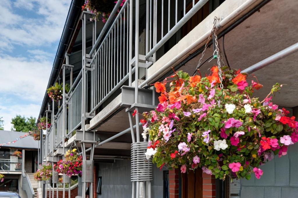 Country Glen Lodge Christchurch Bagian luar foto